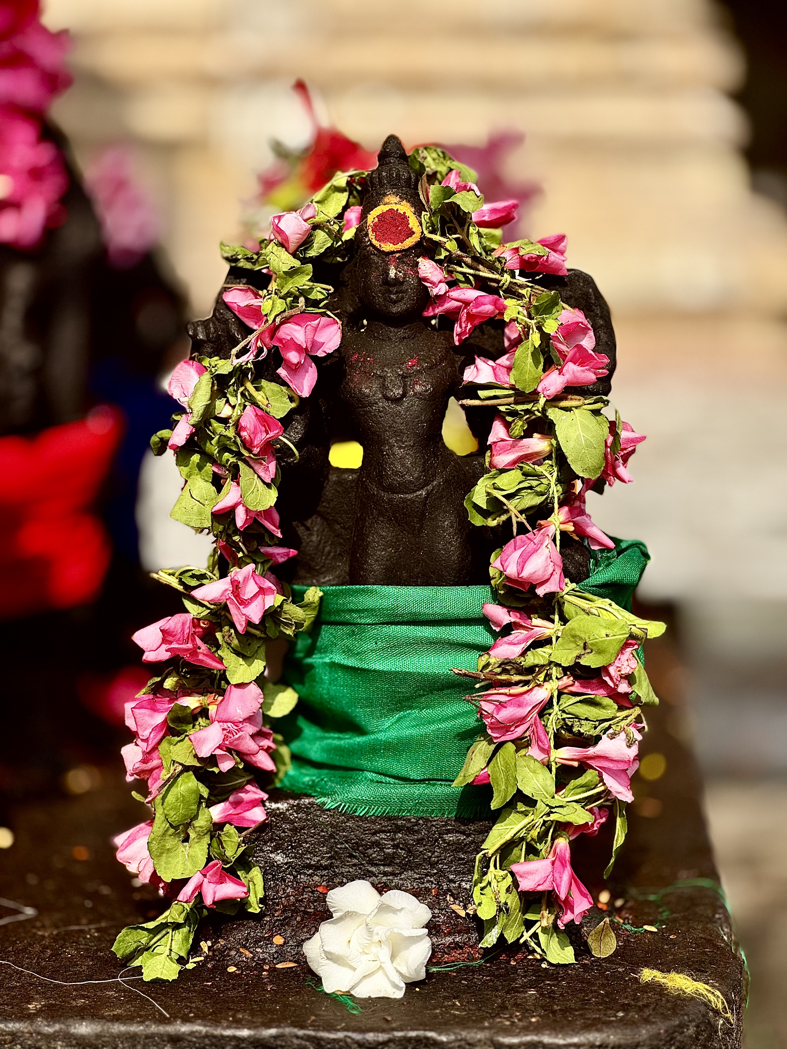 From Hunger to Healing: My Stay at an Ayurvedic Hospital in South India